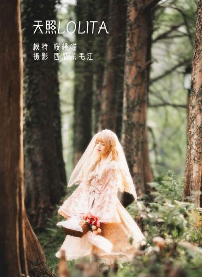 怒火英雄42集免费看_DVD免费电视剧