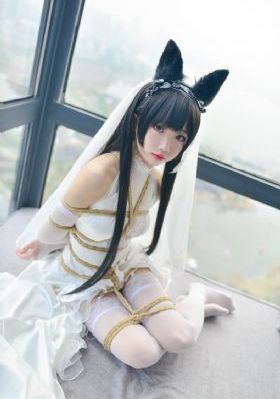 《针锋对决》在线观看_蓝光在线观看